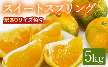 鹿児島県産スイートスプリング 5kg