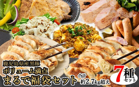 鹿児島県産黒豚 ボリューム満点 まるで福袋 合計2.7kg超え BS-919