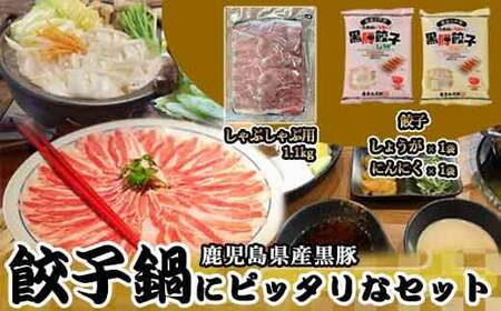 鹿児島県産黒豚 餃子鍋にピッタリなセット 合計約1.5kg AS-475