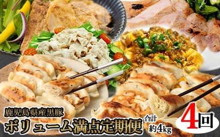 [4カ月定期便]鹿児島県産黒豚 ボリューム満点定期便 合計約4kg DS-016