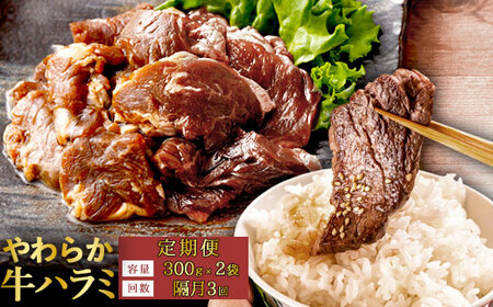 [隔月3回定期便]やわらか 牛ハラミ(サガリ)肉 極旨秘伝醤油タレ漬け(300g×2袋)訳あり ハラミ 牛肉 個包装 焼肉 AS-497