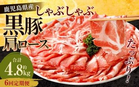 �y6�����ցz���������Y ���� �����[�X ����Ԃ���� ���v4.8kg�i800g×6��j ���� �ؓ� �؃o�� �� ���� GS-614