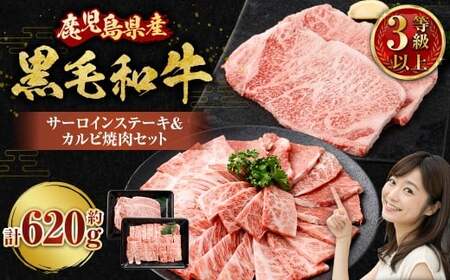 【鹿児島県産】 黒毛和牛 サーロインステーキ＆カルビ焼肉セット 合計約620g 肉 お肉 にく ニク 牛肉 サーロイン カルビ ステーキ 焼肉 詰め合わせ 冷凍 スターゼン 鹿児島県 薩摩川内市 BS-3121