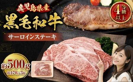 [鹿児島県産]黒毛和牛 サーロインステーキ 約500g (約170g×3枚) 肉 お肉 にく ニク 牛肉 サーロイン ステーキ 冷凍 スターゼン 鹿児島県 薩摩川内市