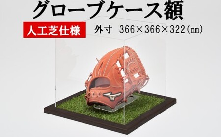 グローブケース額 人工芝仕様 CFオーク 野球 グローブ ケース コレクションケース アクリルケース 展示用 額 グローブケース 額 野 スポーツグッツ ギフト サイングローブ 記念品 思い出 贈り物 贈答 プレゼント FS-809