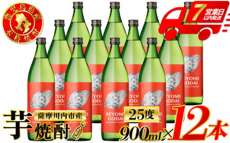 BEYOND GODAI ビヨンドゴダイ 芋焼酎 25度 900ml×12本 山元酒造 焼酎 芋焼酎 芋 焼酎 おすすめ 人気 焼酎 ロック 水割り お湯割り 焼酎ハイボール フルーティー お酒 GSR-801