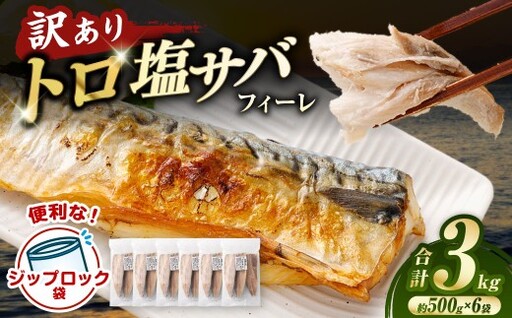トロ塩サバフィーレ 約3.0kg 約500g×6袋 (A品、B品混合) 鯖 鯖フィレ 訳 さば サバ 冷凍 BS-554