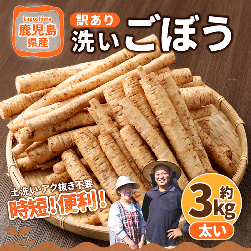 鹿児島県産 洗い[太い] ごぼう 約3kg [規格外・訳あり品][2026年12月上旬-3月下旬発送予定]