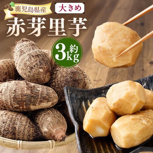 大きめ 赤芽里芋 約3kg 鹿児島県産 ねっとり濃厚 上品な旨味 [2027年1月中旬〜3月中旬発送予定] さといも 赤芽 里芋