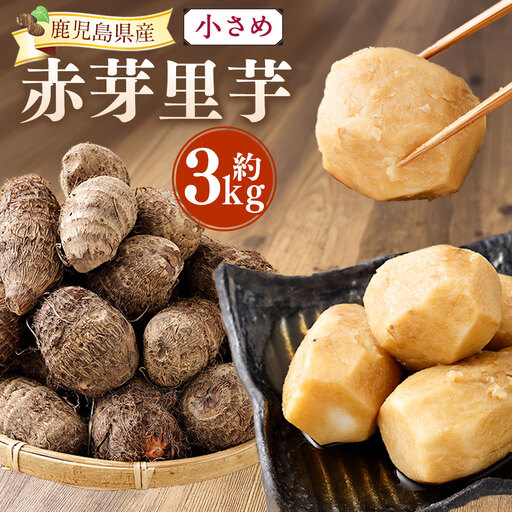 小さめ 赤芽里芋 約3kg 鹿児島県産 ねっとり濃厚 上品な旨味 [2027年1月中旬〜3月中旬発送予定] さといも 赤芽 里芋