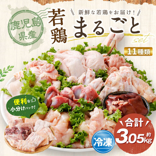 鹿児島県産 若鶏まるごと 約3.05kgセット 若鶏 もも肉 モモ肉 カット むね肉 ささみ 砂肝 肝 手羽先 手羽中 手羽元 肩肉 せせり 骨付きもも肉 小分け 鶏肉 冷凍 AS-797