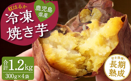 Z-656 紅はるか 冷凍焼き芋 1.2kg (300g×4袋) 鹿児島県産 冷凍 焼き芋 芋 いも