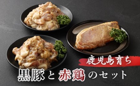 鹿児島県産の赤鶏と黒豚の味噌漬けセット3種類各1袋 合計670g