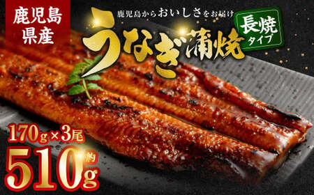 BS-339 鹿児島県産うなぎ蒲焼 約170g×3尾 