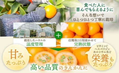 きんかん夢工房セット