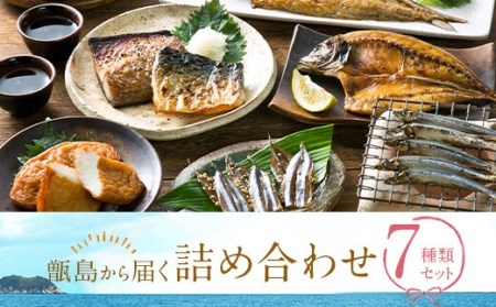 甑島の詰め合わせB (干物とさつま揚げのセット)