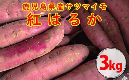 [2024年内発送][農家直送]ママたちの想いをギュッ!薩摩で育てたさつまいも(紅はるか)洗い3kg 小サイズ