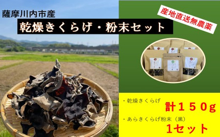 薩摩川内市産の乾燥きくらげ・粉末セット