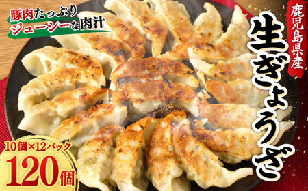 鹿児島 生ぎょうざ 120個セット(10個×12パック) 餃子のたれ付き AS-937