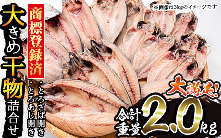 No.406-A 大きめ干物詰合せ[合計2kg] 干物 セット 詰め合わせ ひもの 魚介類 魚 おかず おつまみ お楽しみ [みのだ食品]