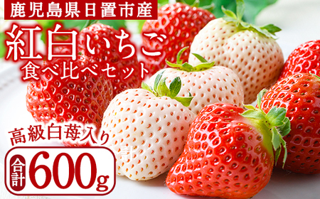No.1162 s\tIg̐Hה׃Zbg(v600gE300g×2g[) Y BY  us NHi  C`S   ʕ  t[c 嗱 Hה lߍ킹