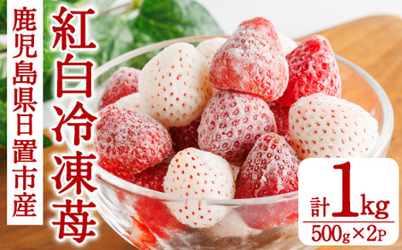 No.646-C Ⓚg(500g×2܁Ev1kg) Y  us Hi  C`S  Ⓚ ʕ  t[c  Ⓚʎ ACX X[W[ Vbv W Ⓚt[c 
