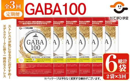 No.1286-A [定期便・全3回(隔月)]GABA100(1袋 62粒入・2袋×3回 計6) 鹿児島 日置市 健康食品 機能性表示食品 サプリ 栄養バランス 食生活 安心安全 デスクワーク ストレス緩和 高血圧 定期便 頒布会[てまひま堂]