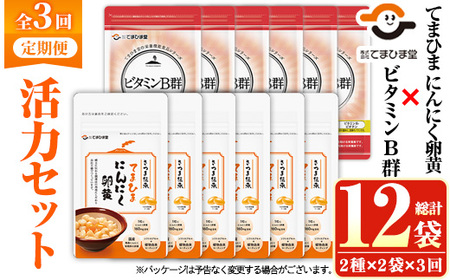 No.1298-A [定期便・全3回(隔月)]活力セット(てまひま にんにく卵黄・ビタミンB群/各2袋×3回 計12袋) 鹿児島 日置市 ニンニク 健康食品 加工食品 栄養 元気 有精卵 カプセル 手軽に 安全安心[てまひま堂]