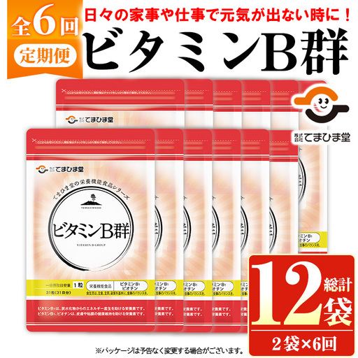 No.1300-B ＜定期便・全6回(隔月)＞ビタミンB群(2袋×6回・計12袋) 鹿児島 日置市 健康食品 サプリ 栄養バランス 食生活 安心安全 ビタミン 定期便 頒布会 【てまひま堂】