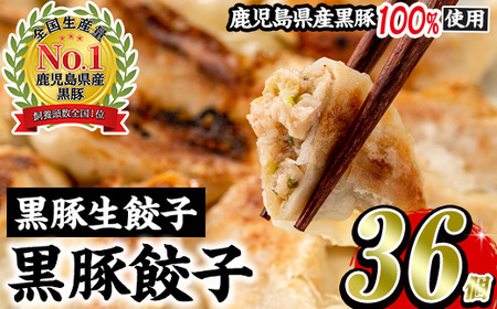 No.1327-n [3ヶ月以内に発送]鹿児島黒豚使用の黒豚生餃子(計36個・12個入り×3パック)国産 九州産 ぎょうざ ギョウザ 冷凍 黒豚 豚肉 お肉 おかず[末永商店][429][861]