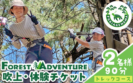 No.1322-B tHXgAhx`[ElgbNR[X̌`Pbg(2E90) ̌ ̌`Pbg `Pbg tHXgAhx`[ ANeBreB  ` X|[c R