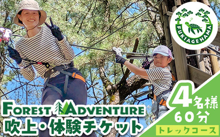 No.1323-A tHXgAhx`[ElgbNR[X̌`Pbg(4E60) ̌ ̌`Pbg `Pbg tHXgAhx`[ ANeBreB  ` X|[c R