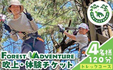 No.1323-C tHXgAhx`[ElgbNR[X̌`Pbg(4E120) ̌ ̌`Pbg `Pbg tHXgAhx`[ ANeBreB  ` X|[c R