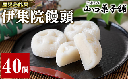 No.1007-B 伊集院饅頭(40個) 伊集院銘菓 日置市 セット 和菓子 スイーツ 郷土菓子 お菓子 ギフト 贈答品 贈り物【山口菓子舗】