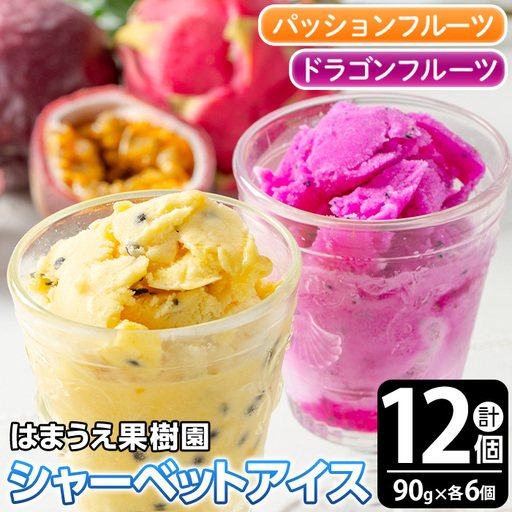 鹿児島県産 フルーツ シャーベット アイス 計12個 90g×各6個 パッションフルーツ レッドドラゴンフルーツ はまうえ果樹園 No.627