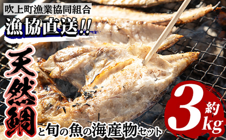 魚の干物ｾｯﾄの返礼品 検索結果 | ふるさと納税サイト「ふるなび」