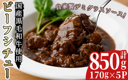 No.131 Yјar[tV`[Zbg(v850gE170g×5pbN)V`[ X[v Y Y јa f~OX Ⓚyarumeiz
