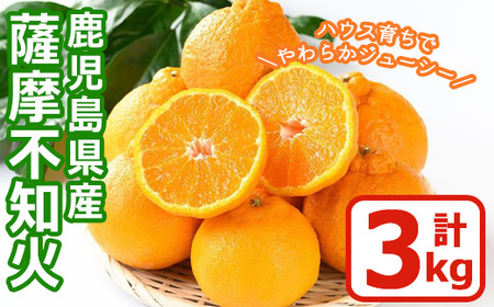 No.146 s\tI2026N1{`2{܂ł̊ԂɔsԁEʌtYIFsm(3kg) ݂ ~J  sm ʂ  k t[c  ʎ 