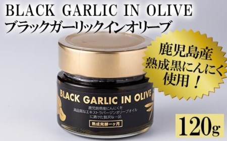 [BLACK GARLIC IN OLIVE]ブラックガーリックインオリーブ(120g×1本・固形60g) ニンニク にんにく 黒にんにく 油 オリーブ 調味料[鹿児島オリーブ]