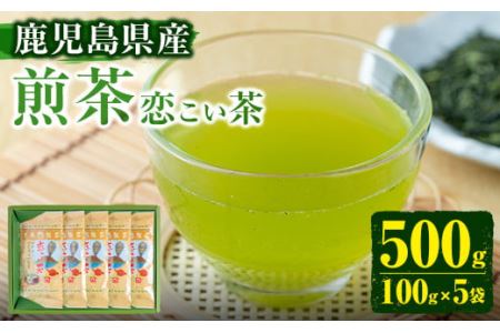 [鹿児島県産]煎茶(100g×5袋セット 計500g)[末永(清)製茶]