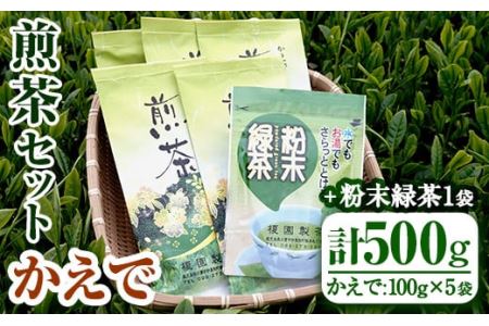 鹿児島県産の煎茶セット「かえで」かえで(100g×5袋)と粉末緑茶(1袋)[世献 榎園製茶]