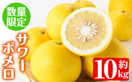 [数量限定]サワーポメロ(約10kg) 柑橘 フルーツ 果物 鹿児島県産 日置市 サワーポメロ 晩柑 みかん ミカン [大庭商店]