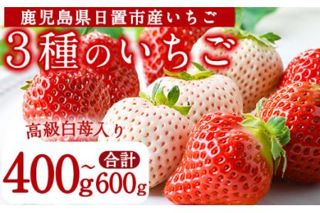 No.778 s\tI3i킢̐Hה׃Zbg(400g`600g)Y BY  us NHi  C`S   ʕ  t[c 嗱 Hה lߍ킹 pbN y