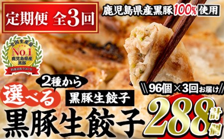 No.861t-A [定期便・全3回]鹿児島黒豚使用の黒豚餃子(合計288個・12個入り×8パック×3回) 国産 九州産 ぎょうざ ギョウザ 冷凍 黒豚 豚肉 お肉 おかず 定期便 頒布会[末永商店]