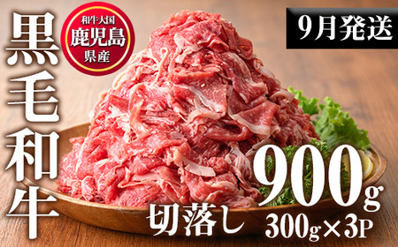 No.1015-m09 [2025年9月中に発送予定]鹿児島県産黒毛和牛切落し(計900g・300g×3P)牛肉 切落し 切り落し 和牛 冷凍 国産 九州産 小分け 国産牛 お肉 牛丼 野菜炒め カレー 冷凍[カミチク]