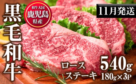 No.510-m11 [2025年11月中に発送予定]鹿児島県産黒毛和牛ロースステーキ(計540g・180g×3P)国産 九州産 牛肉 黒毛和牛 和牛 ロース ステーキ おかず 冷凍[カミチク]