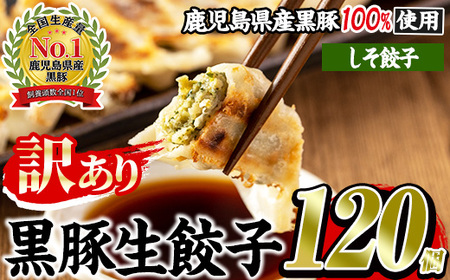 No.1009w-s [訳あり]数量・期間限定!鹿児島黒豚使用のしそ餃子(計120個・12個入り×10パック) 国産 九州産 ぎょうざ ギョウザ 冷凍 紫蘇 黒豚 豚肉 お肉 おかず[末永商店]