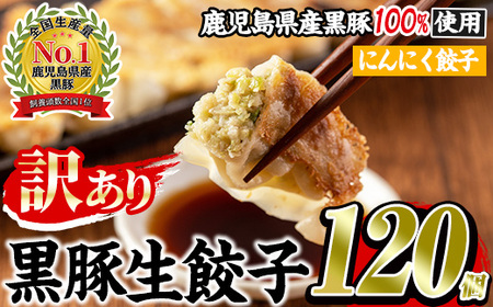 No.1009w-n [訳あり]数量・期間限定!鹿児島黒豚使用のにんにく餃子(計120個・12個入り×10パック) 国産 九州産 ぎょうざ ギョウザ 冷凍 ニンニク 黒豚 豚肉 お肉 おかず[末永商店]