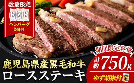 [14営業日以内に発送!][3枚・計約750g+ハンバーグ3個]日本一の牛肉!4等級以上!鹿児島県産黒毛和牛ロースステーキ3枚セット(3枚・計約750g)+ハンバーグ3個 黒毛和牛 ステーキ 冷凍[ナンチク]B1-02-v04