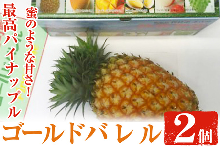 ゴールドバレル(パイナップル)2個(約1kg×2個・計約2kg) 鹿児島県産 果物 フルーツ[大徳産業]